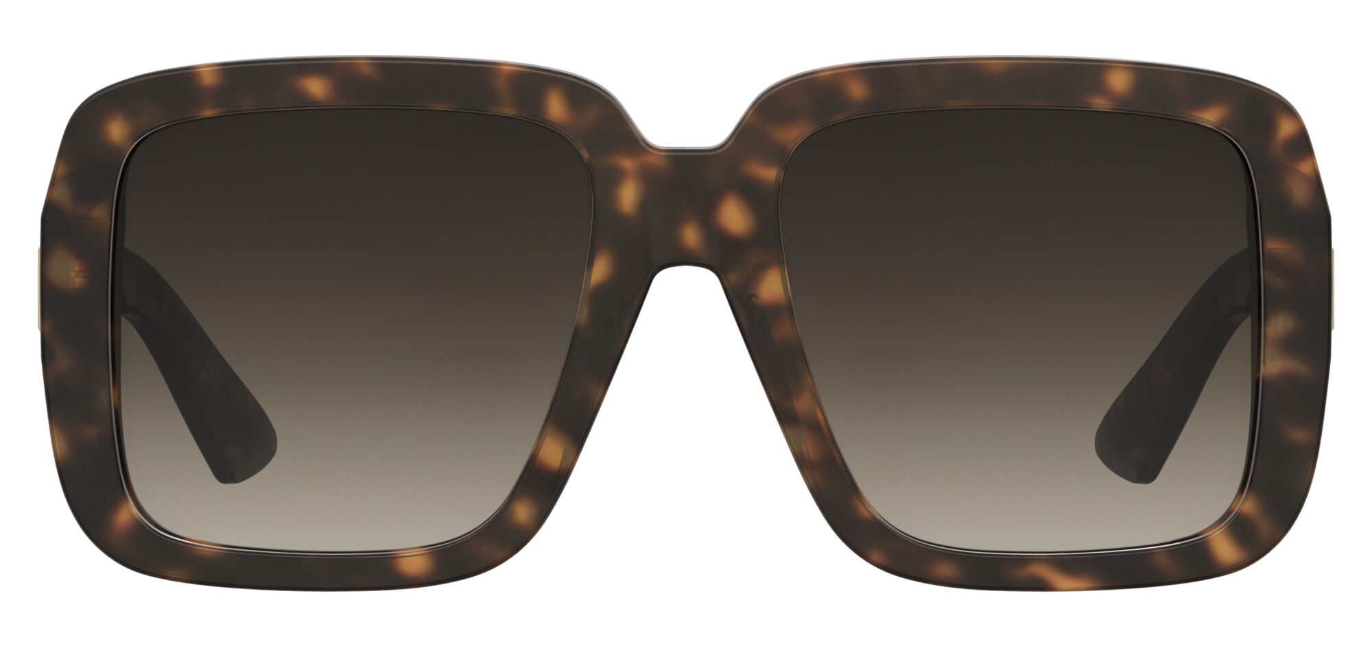 MOSCHINO - MOS180/S HAVANA 1 Occhiale MOSCHINO da Sole Donna 1