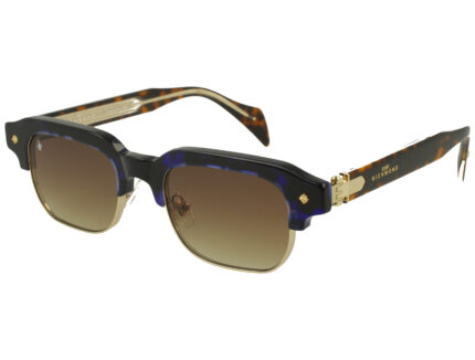 AVANABLU/SHYGOLD FRONT DRKAVANA/XTAL TEMPLE FULL DRK BROWN LENS PLAST SUNGLASS